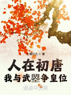 人在初唐我与武曌争皇位无错版