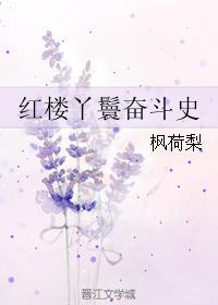 红楼之丫鬟谋略