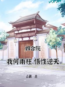 四合院 主角何雨轩