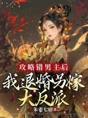 攻略错误by