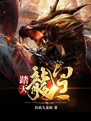 踏天龙皇epub