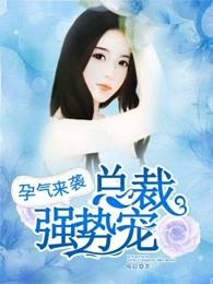 孕妻来袭总裁老公棒棒哒