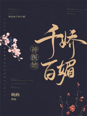 神医她千娇百媚讲的什么