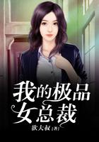 我的极品女总裁叶无邪TXT