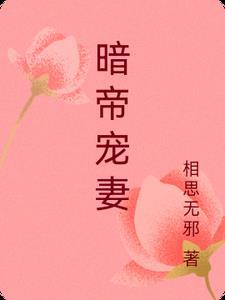 暗帝独宠妻