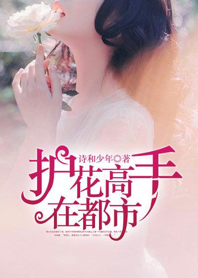 护花高手在都市夏天的老婆