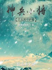 神兵小将北冥雪受伤