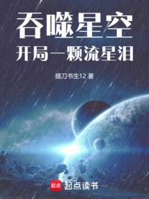 吞噬星空开局一颗流星泪 提刀书生12