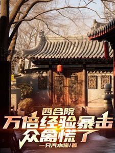 四合院700多进