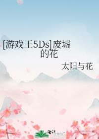 游戏王5ds废品卡组