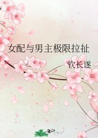 女配和男主h无三观