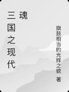 三国之武魂时代