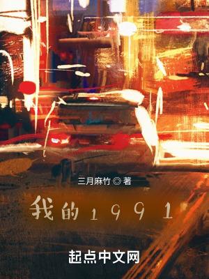 我的1991无防盗