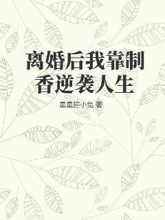 我靠离婚火遍娱乐圈