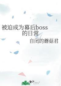 被迫成为幕后boss的日常 免费阅读