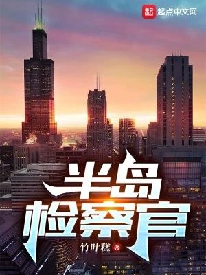 半岛检察官精校版