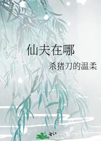 仙夫在哪在线阅读全文