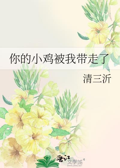 别人带走了我的小鸡