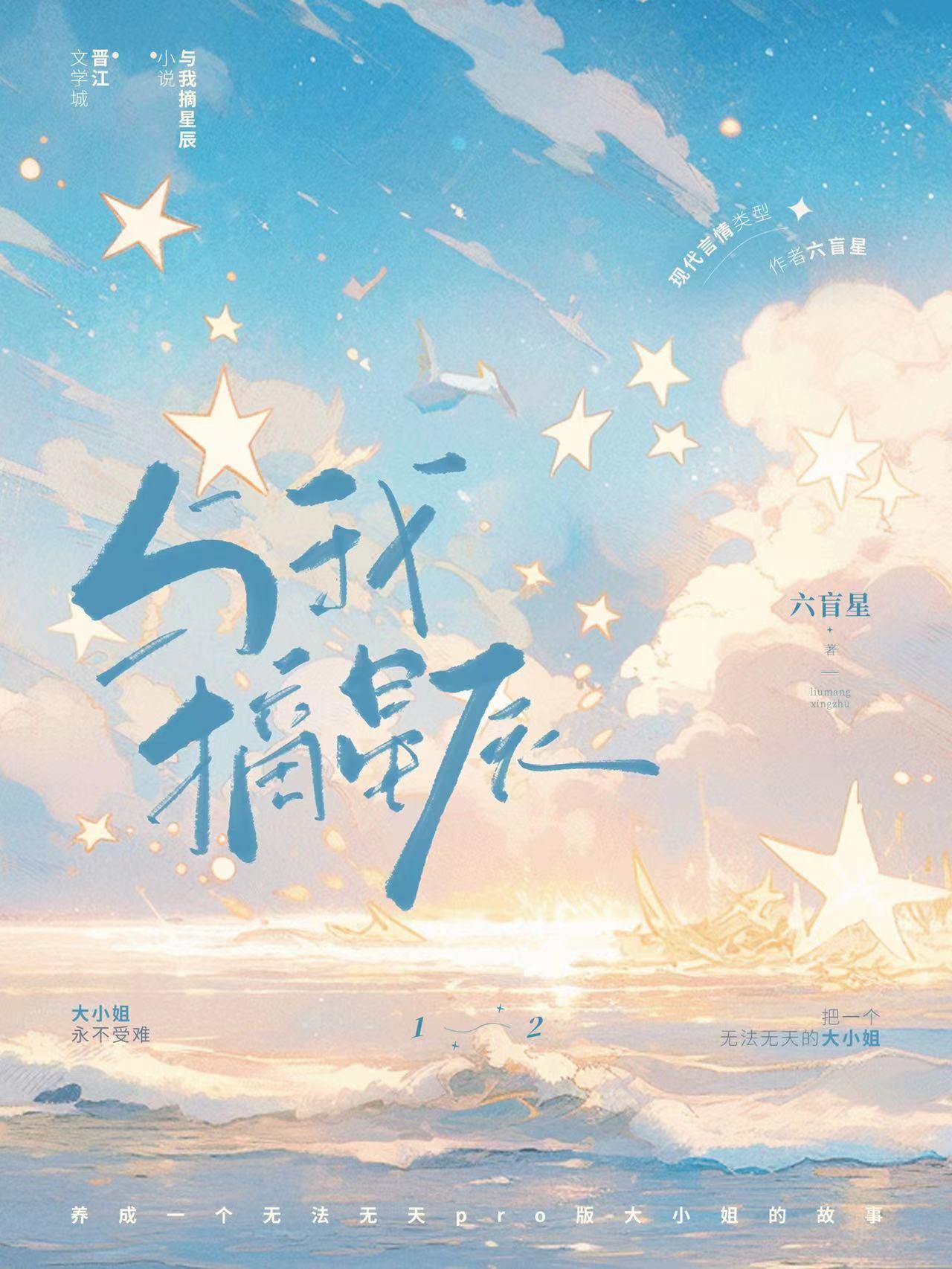 与我摘星辰六盲星全文免费阅读