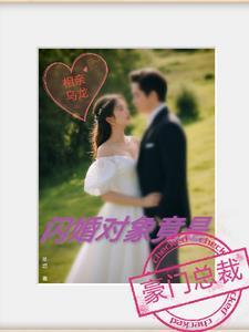 闪婚对象竟是豪门总裁 莘垣