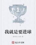 我就是能进球epub