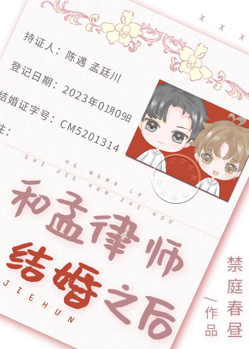 和孟律师结婚之后TXT